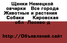 Щенки Немецкой овчарки - Все города Животные и растения » Собаки   . Кировская обл.,Лосево д.